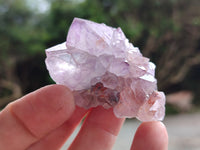 Natural Amethyst Spirit Quartz Clusters x 20 From Boekenhouthoek, South Africa - Toprock Gemstones and Minerals 