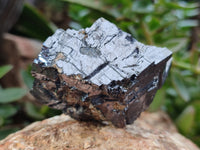 Natural Silver Lead Galena Specimens x 6 From Namibia