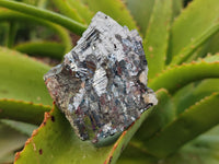 Natural Silver Lead Galena Specimens x 6 From Namibia