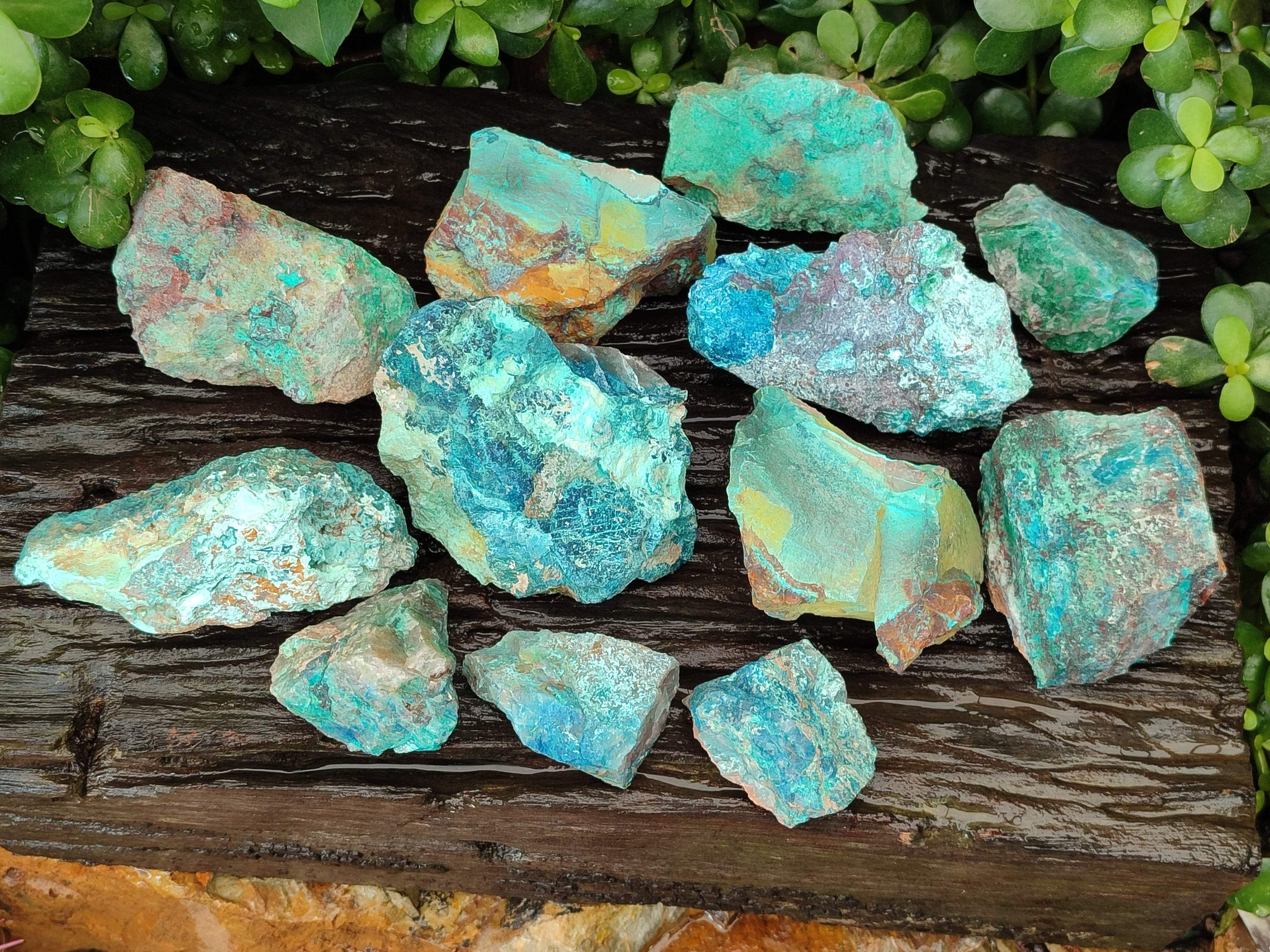Natural Shattuckite with Chrysocolla and Malachite Cobbed Specimens x 16 From Kaokoveld, Namibia - Toprock Gemstones and Minerals 