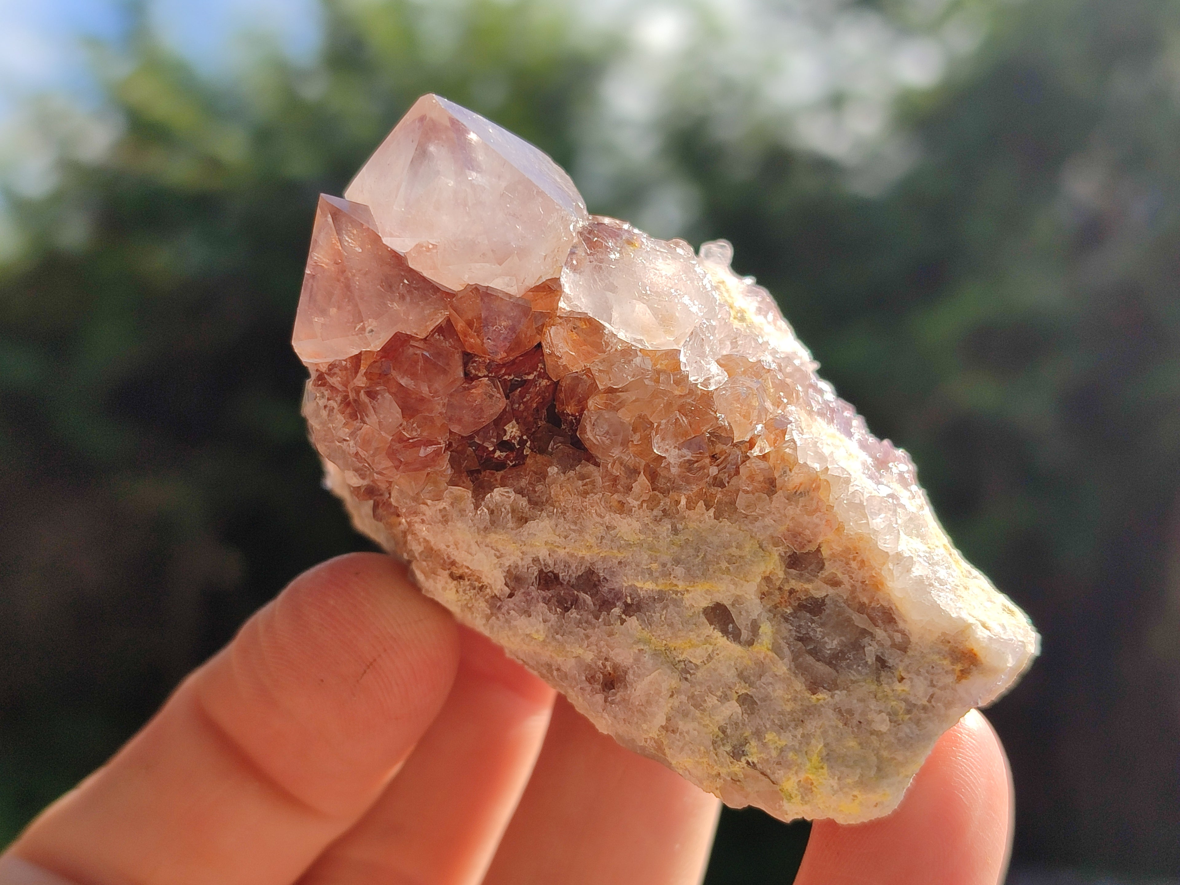 Natural Dark Amethyst Spirit Quartz Clusters x 12 From Boekenhouthoek, South Africa - Toprock Gemstones and Minerals 