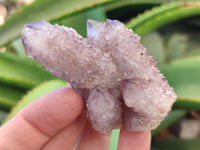 Natural Dark Amethyst Spirit Quartz Clusters x 12 From Boekenhouthoek, South Africa - Toprock Gemstones and Minerals 