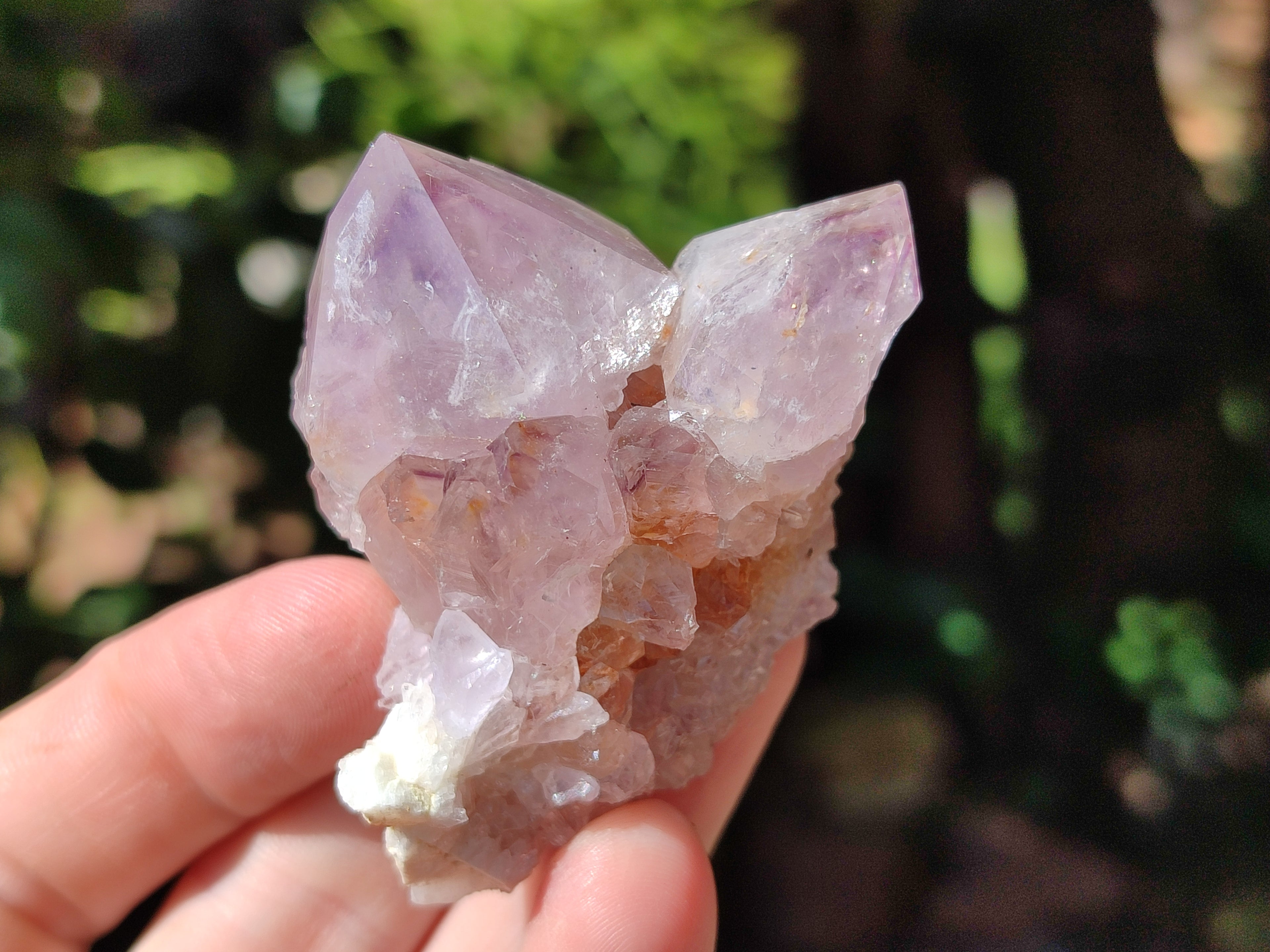 Natural Dark Amethyst Spirit Quartz Clusters x 12 From Boekenhouthoek, South Africa - Toprock Gemstones and Minerals 