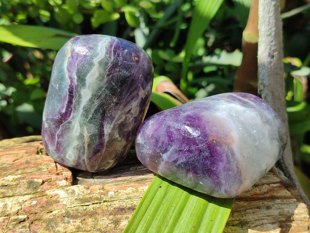 Polished Watermelon Fluorite Free Forms x 6 From Namibia - Toprock Gemstones and Minerals 