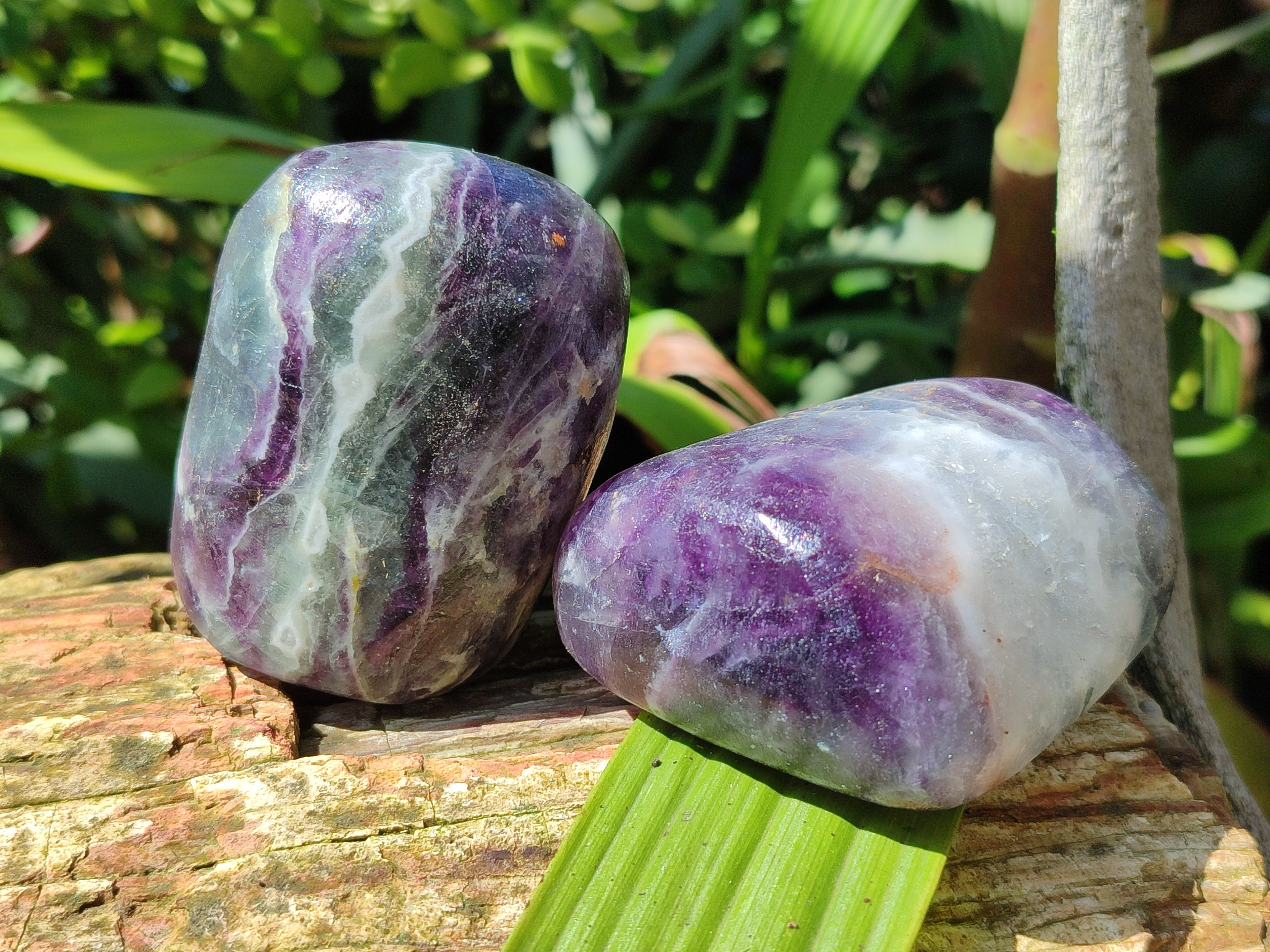 Polished Watermelon Fluorite Free Forms x 6 From Namibia - Toprock Gemstones and Minerals 