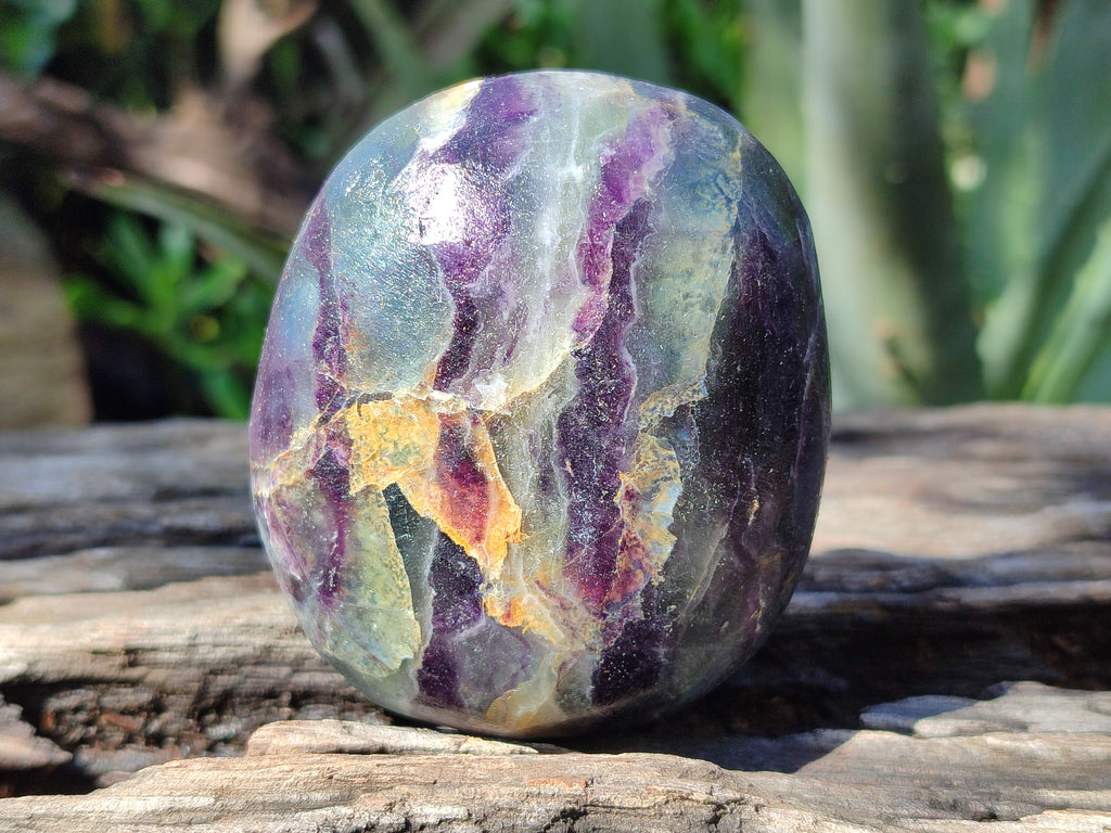Polished Watermelon Fluorite Free Forms x 6 From Namibia - Toprock Gemstones and Minerals 