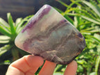 Polished Watermelon Fluorite Free Forms x 6 From Namibia - Toprock Gemstones and Minerals 