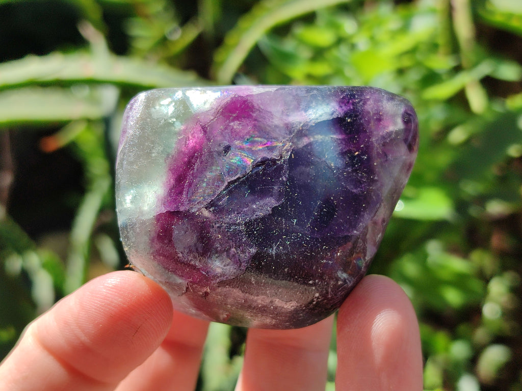 Polished Watermelon Fluorite Free Forms x 6 From Namibia - Toprock Gemstones and Minerals 