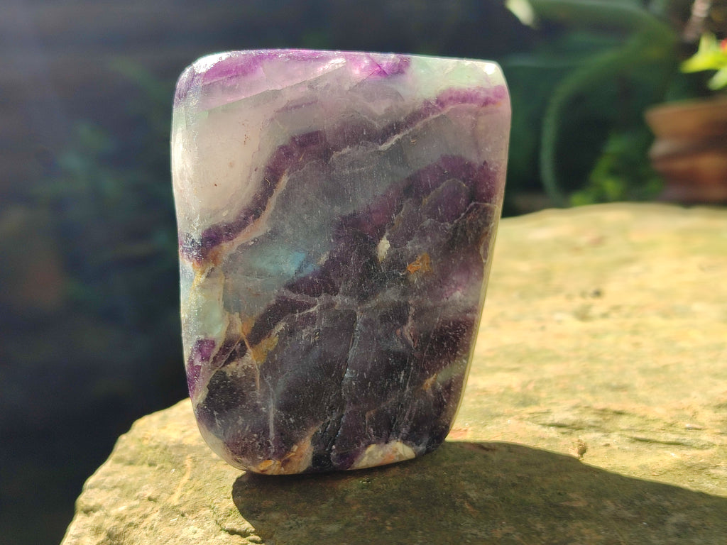 Polished Watermelon Fluorite Free Forms x 6 From Namibia - Toprock Gemstones and Minerals 