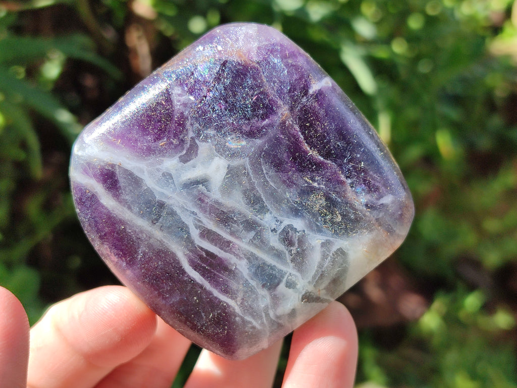 Polished Watermelon Fluorite Free Forms x 6 From Namibia - Toprock Gemstones and Minerals 