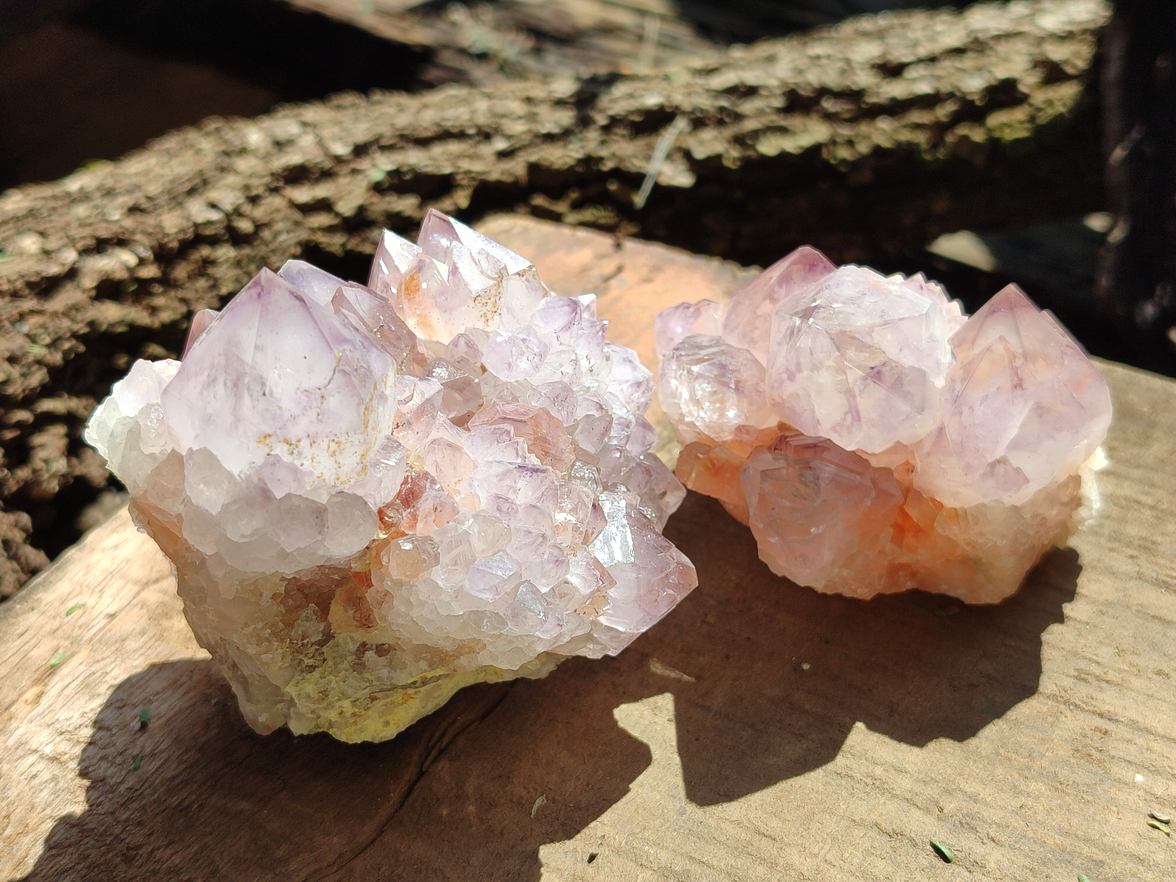 Natural Purple Amethyst Spirit Quartz Clusters x 6 From Boekenhouthoek, South Africa - Toprock Gemstones and Minerals 
