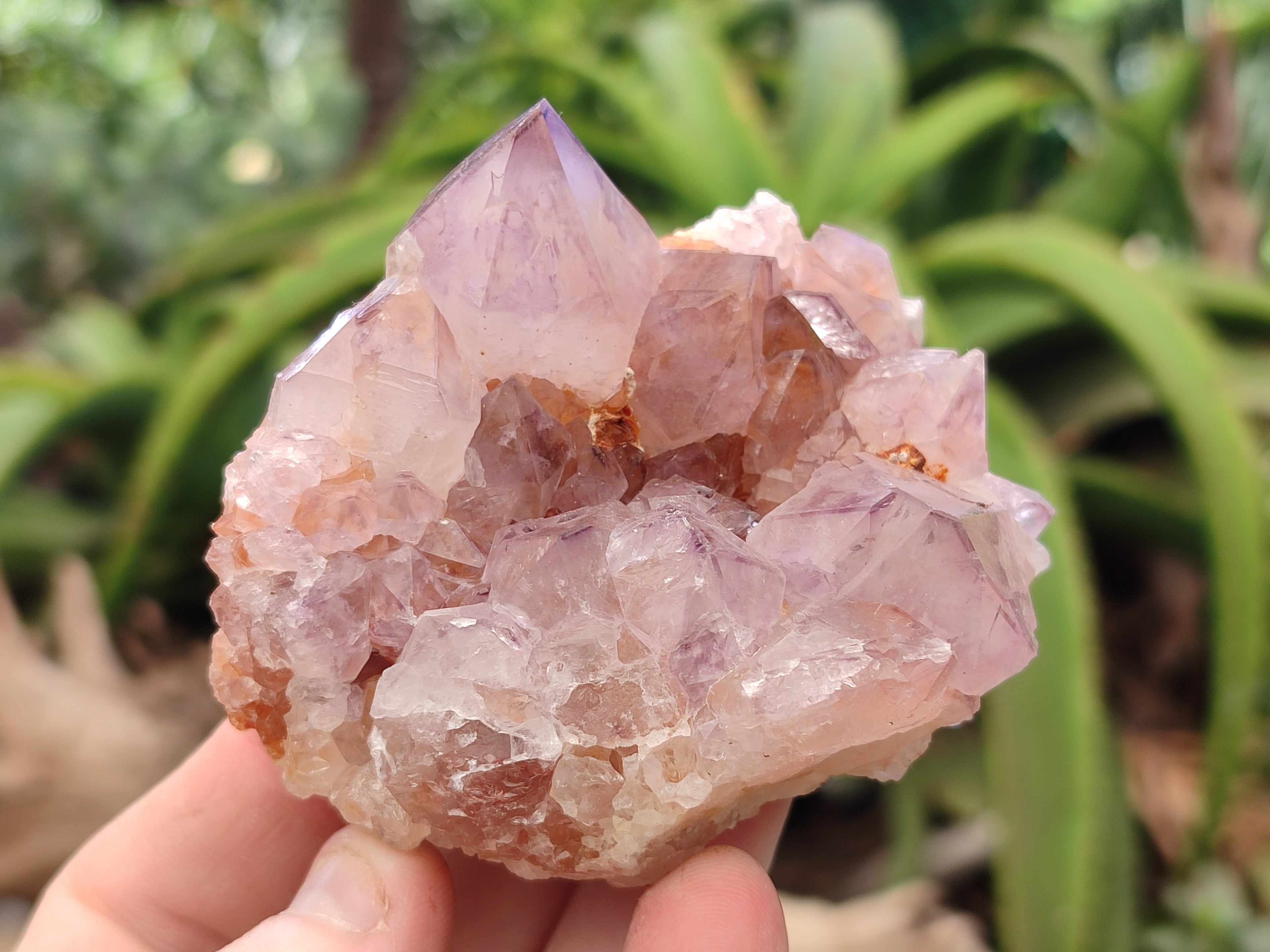 Natural Purple Amethyst Spirit Quartz Clusters x 6 From Boekenhouthoek, South Africa - Toprock Gemstones and Minerals 