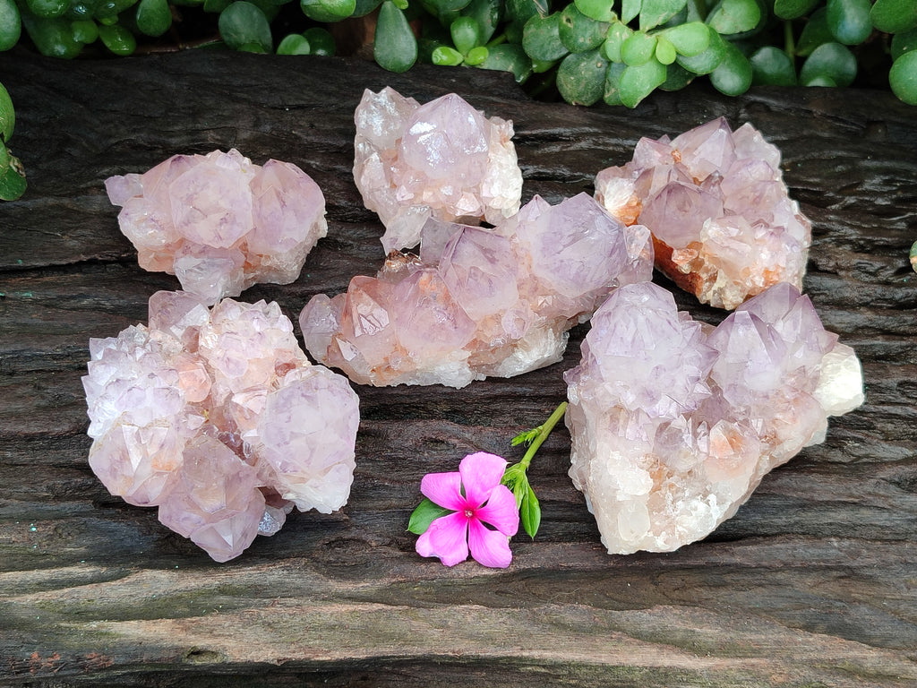 Natural Purple Amethyst Spirit Quartz Clusters x 6 From Boekenhouthoek, South Africa - Toprock Gemstones and Minerals 