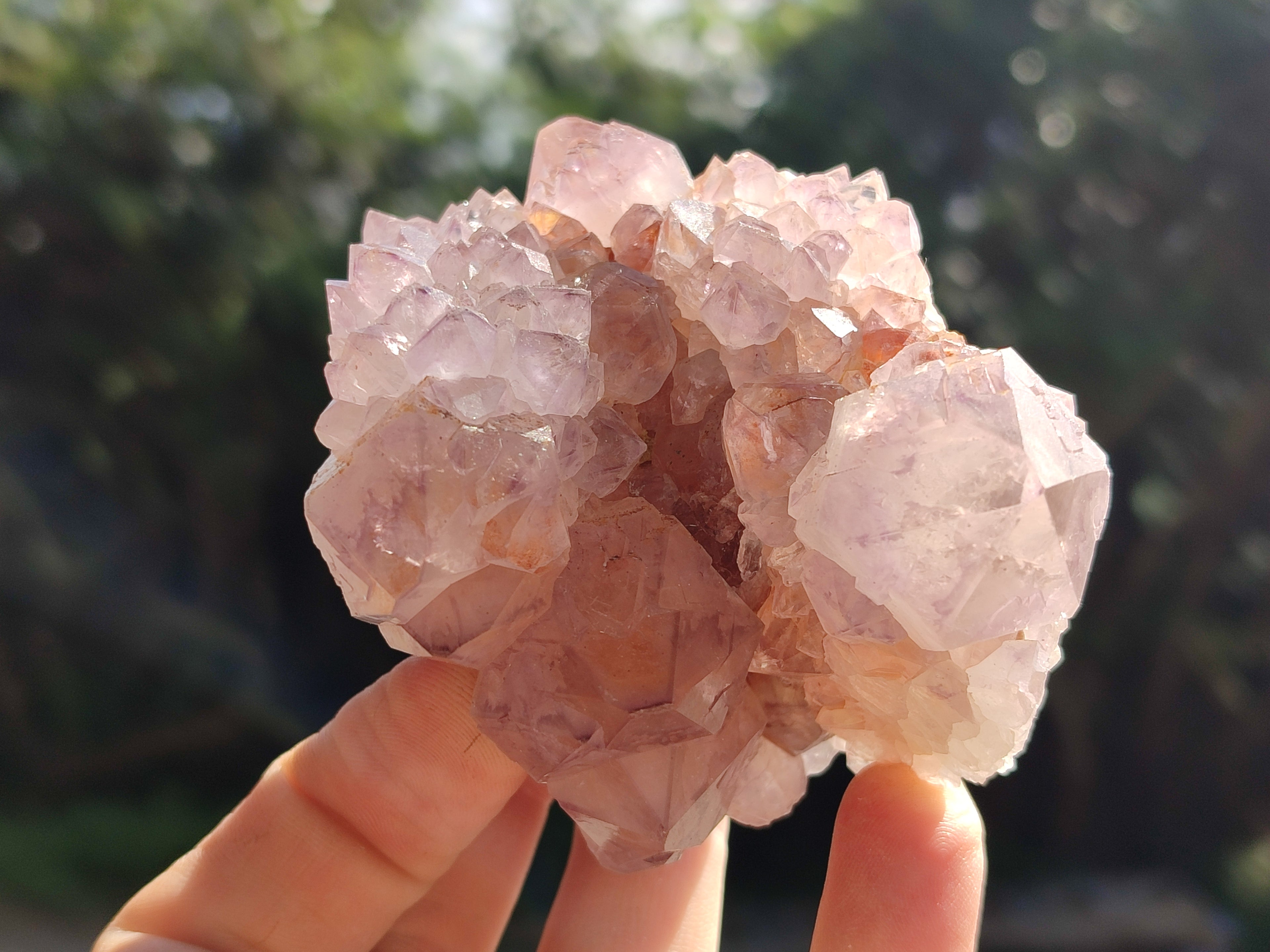 Natural Purple Amethyst Spirit Quartz Clusters x 6 From Boekenhouthoek, South Africa - Toprock Gemstones and Minerals 