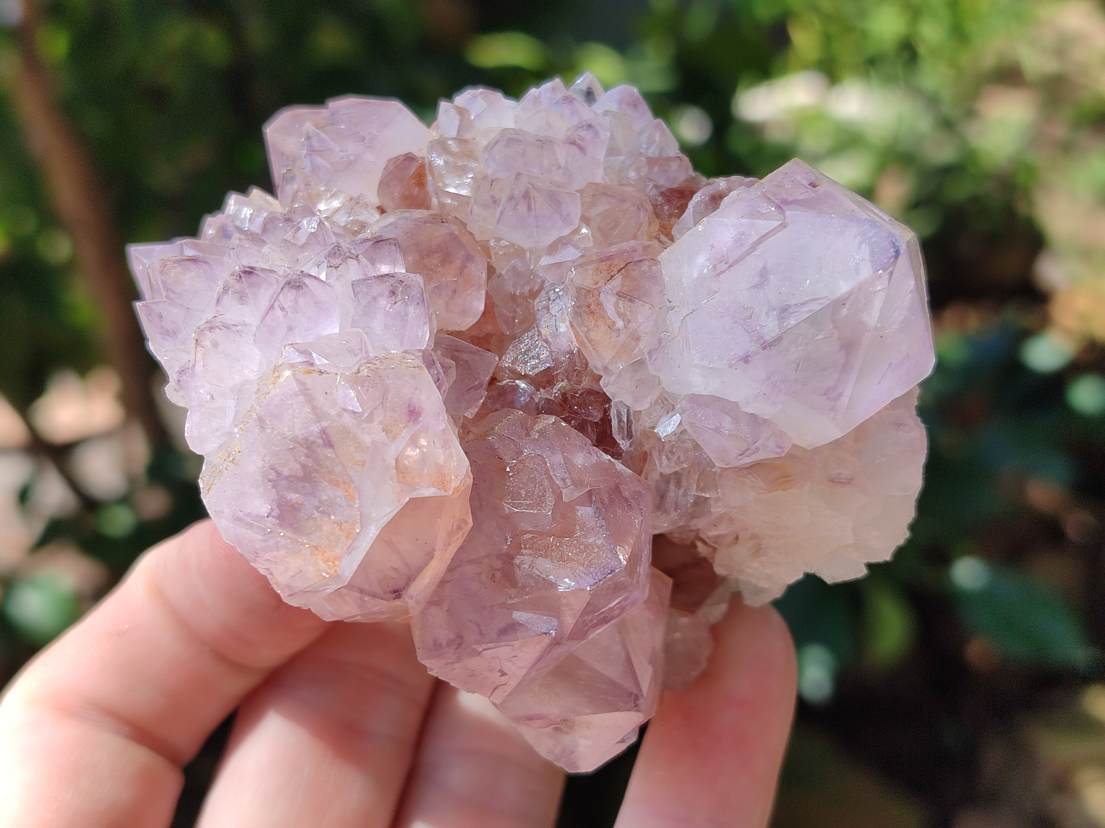 Natural Purple Amethyst Spirit Quartz Clusters x 6 From Boekenhouthoek, South Africa - Toprock Gemstones and Minerals 