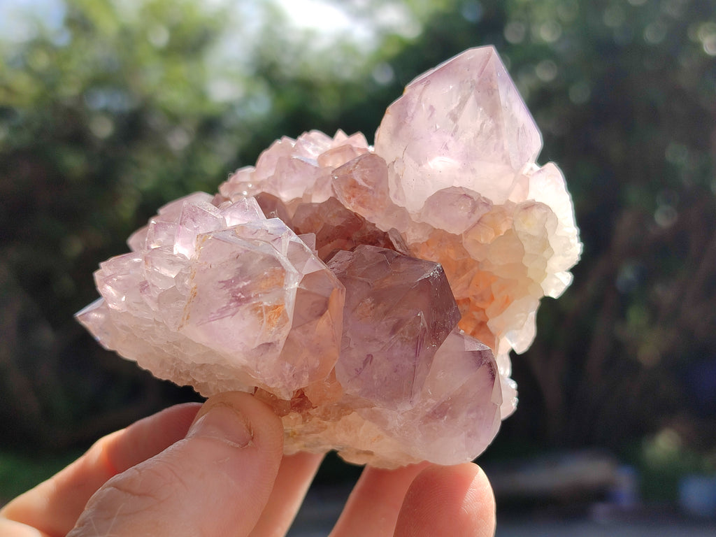 Natural Purple Amethyst Spirit Quartz Clusters x 6 From Boekenhouthoek, South Africa - Toprock Gemstones and Minerals 