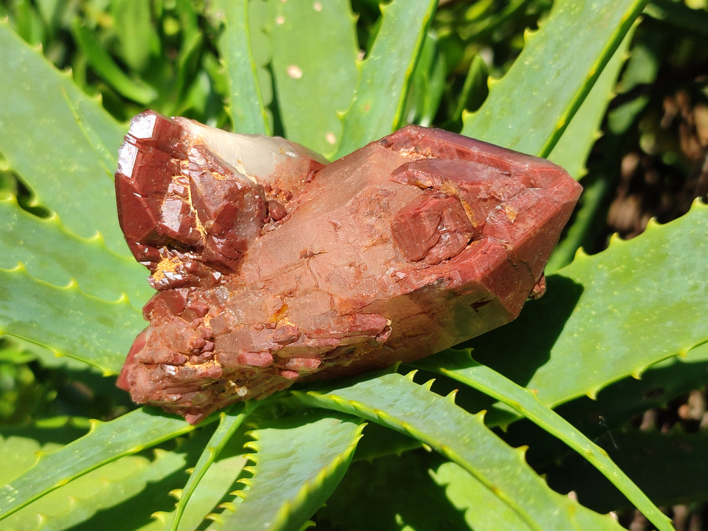 Natural Red Hematoid Phantom Quartz Clusters x 3 From Karoi, Zimbabwe - Toprock Gemstones and Minerals 