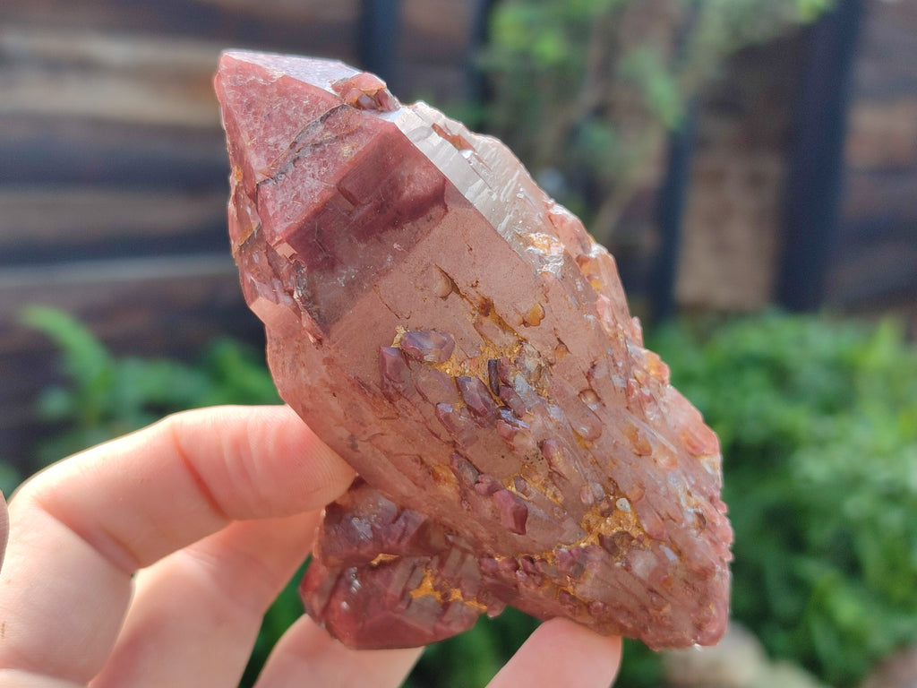 Natural Red Hematoid Phantom Quartz Clusters x 3 From Karoi, Zimbabwe - Toprock Gemstones and Minerals 
