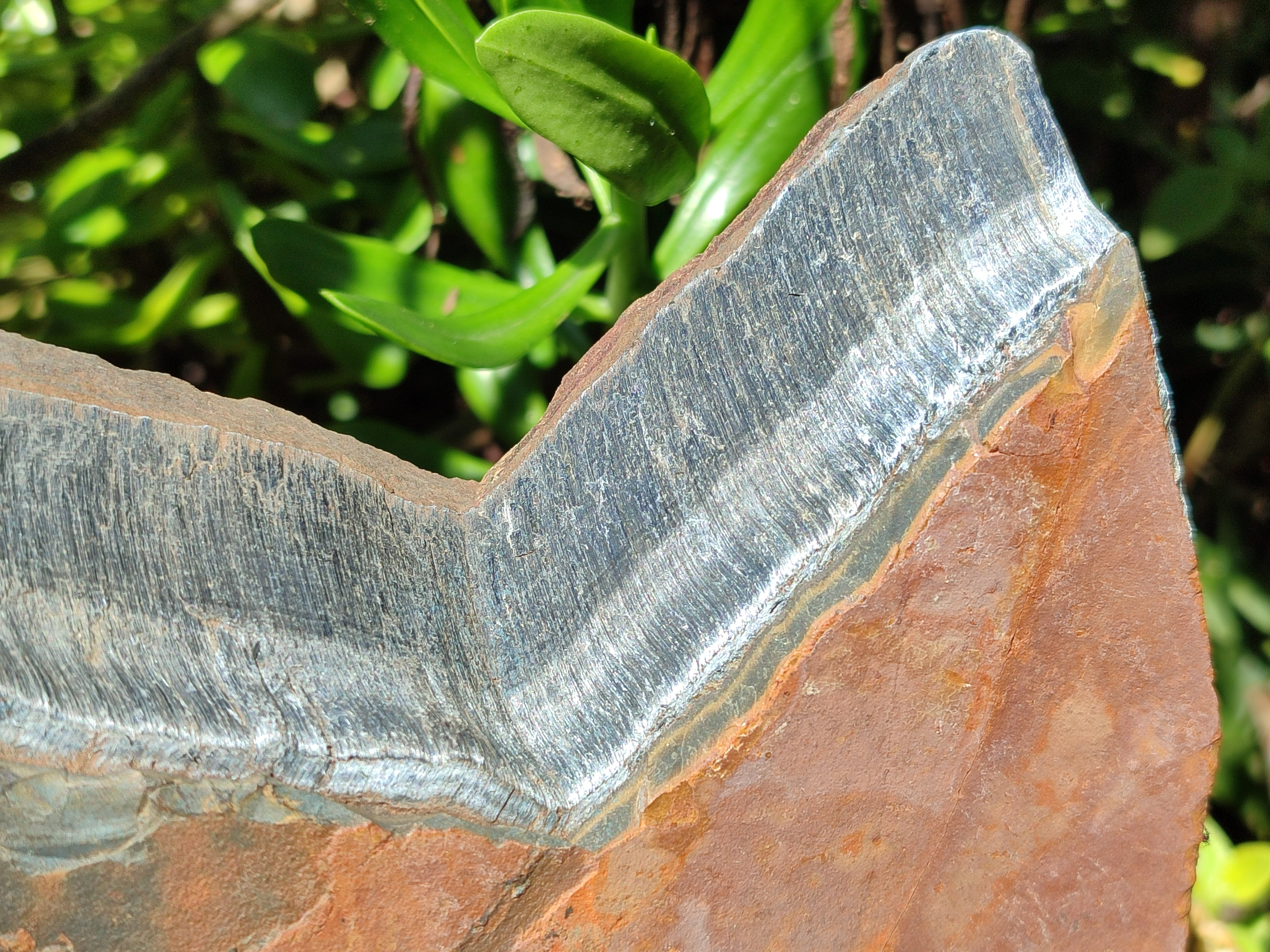 Polished On One Side Tiger's Eye Slabs x 2 From Prieska, South Africa - Toprock Gemstones and Minerals 