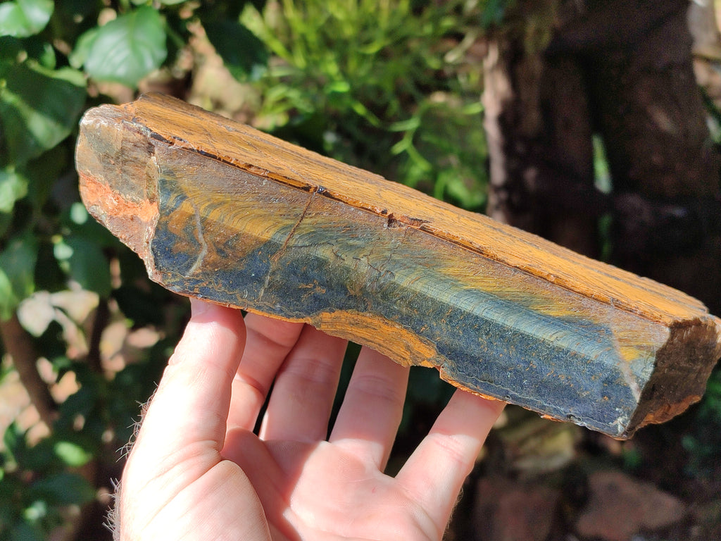 Polished On One Side Tiger's Eye Slabs x 2 From Prieska, South Africa - Toprock Gemstones and Minerals 