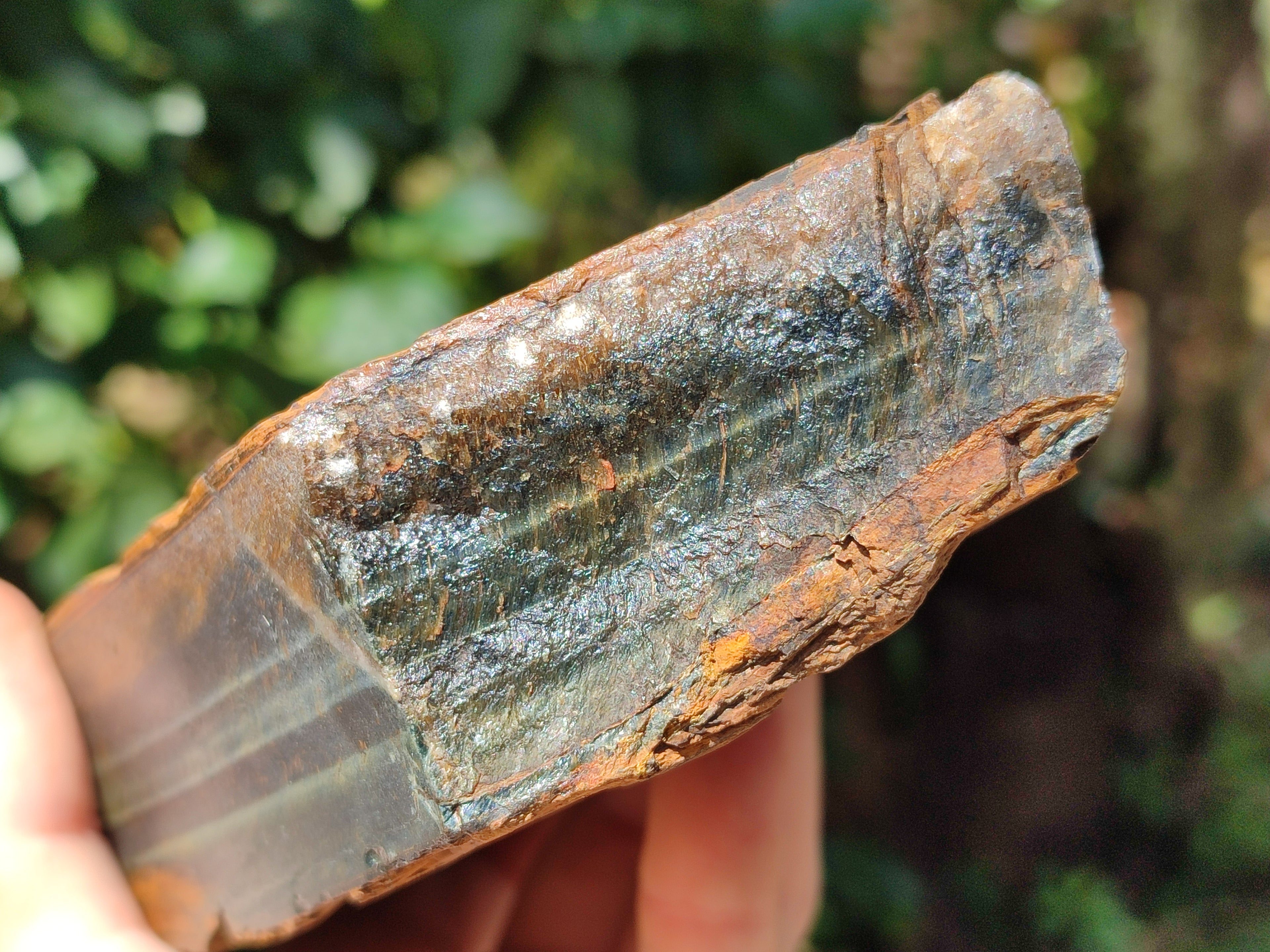 Polished On One Side Tiger's Eye Slabs x 2 From Prieska, South Africa - Toprock Gemstones and Minerals 