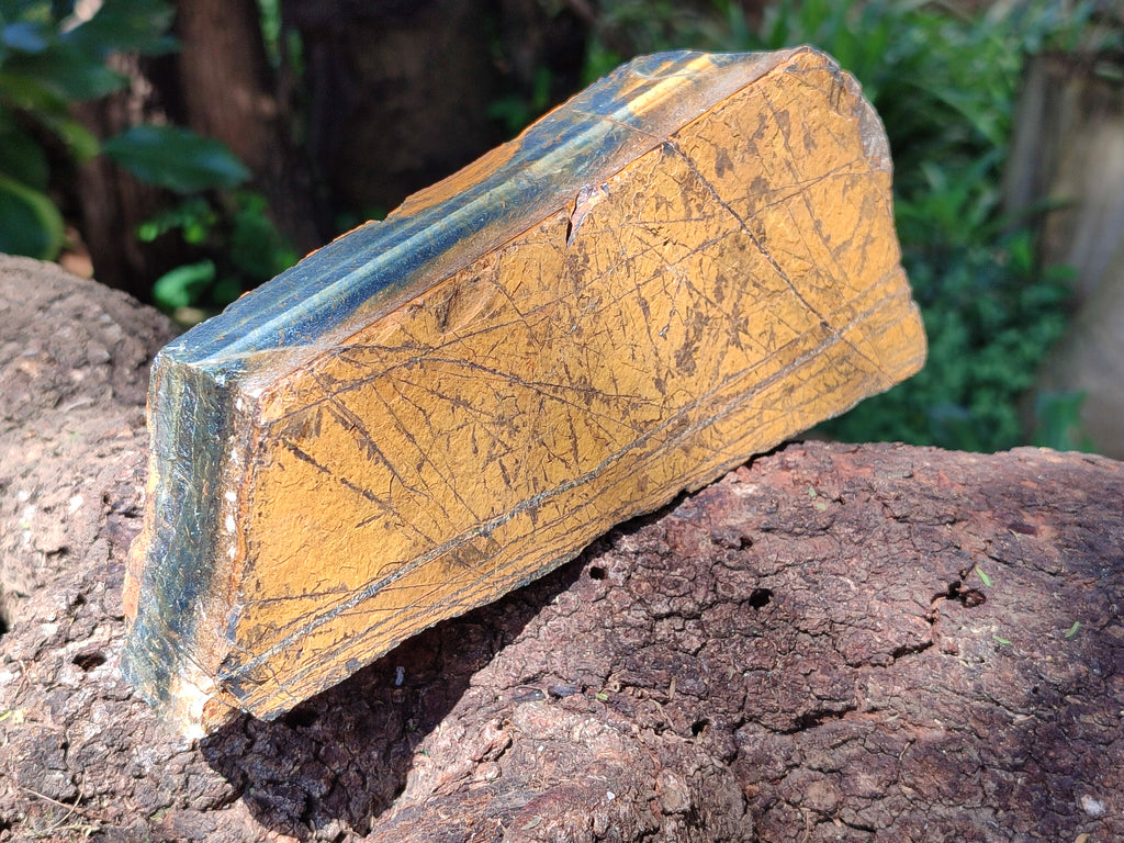 Polished On One Side Tiger's Eye Slabs x 2 From Prieska, South Africa - Toprock Gemstones and Minerals 