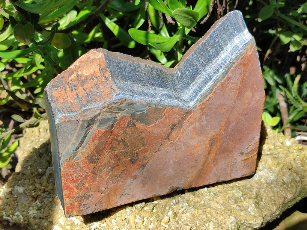 Polished On One Side Tiger's Eye Slabs x 2 From Prieska, South Africa - Toprock Gemstones and Minerals 