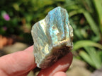 Natural Labradorite Cobbed Rough Pieces - Sold per 2 Kg Bag - From Tulear, Madagascar - Toprock Gemstones and Minerals 