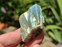 Natural Labradorite Cobbed Rough Pieces - Sold per 2 Kg Bag - From Tulear, Madagascar