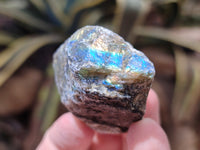 Natural Labradorite Cobbed Rough Pieces - Sold per 2 Kg Bag - From Tulear, Madagascar