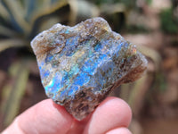 Natural Labradorite Cobbed Rough Pieces - Sold per 2 Kg Bag - From Tulear, Madagascar