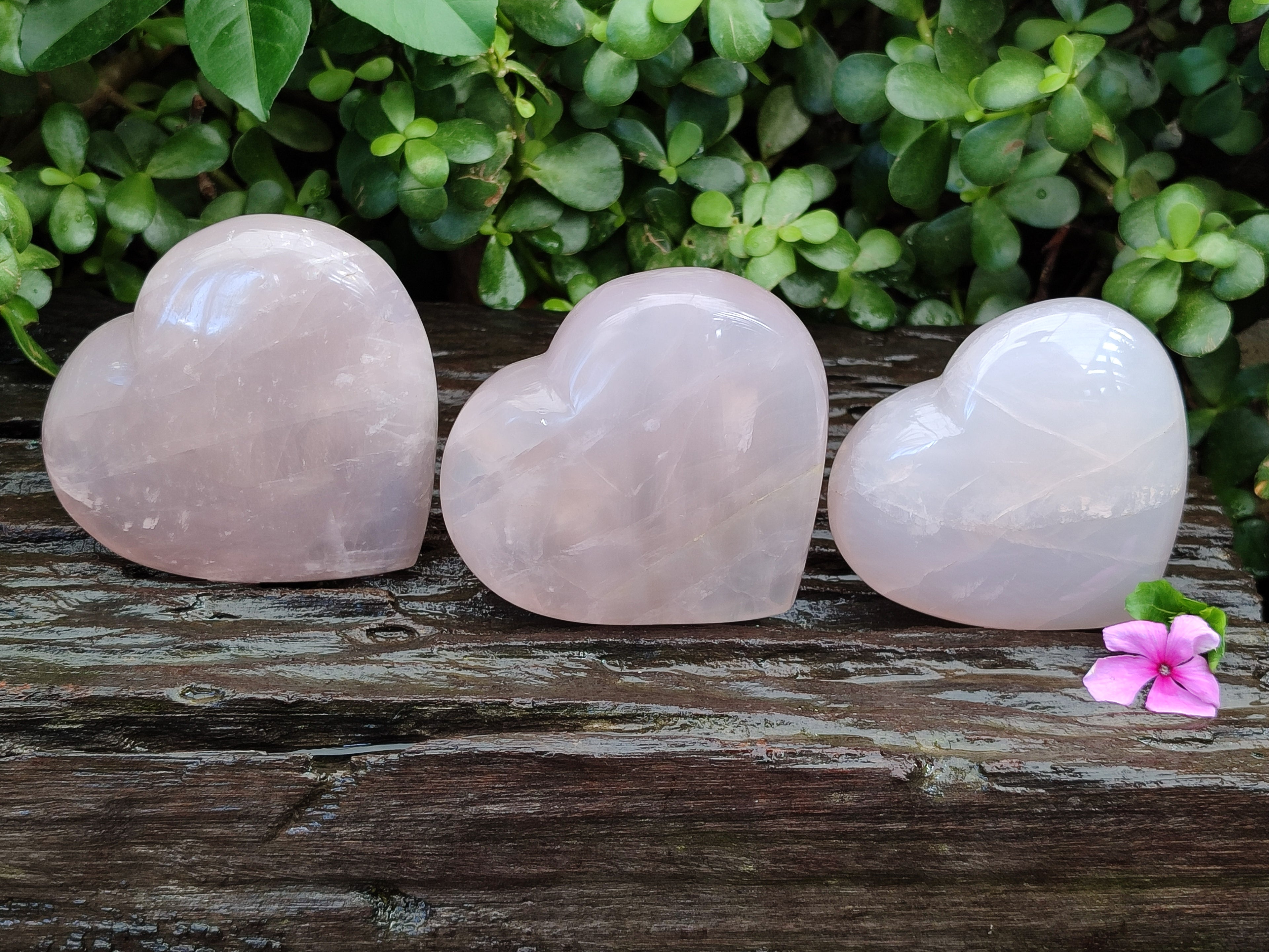 Polished Rose Quartz Hearts x 3 From Ambatondrazaka, Madagascar - Toprock Gemstones and Minerals 