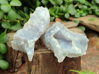 Natural Etched Blue Chalcedony Specimens x 12 From Nsanje, Malawi - Toprock Gemstones and Minerals 