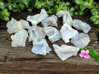 Natural Etched Blue Chalcedony Specimens x 12 From Nsanje, Malawi - Toprock Gemstones and Minerals 