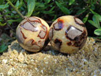 Polished Septerye Spheres x 4 From Mahajanga, Madagascar