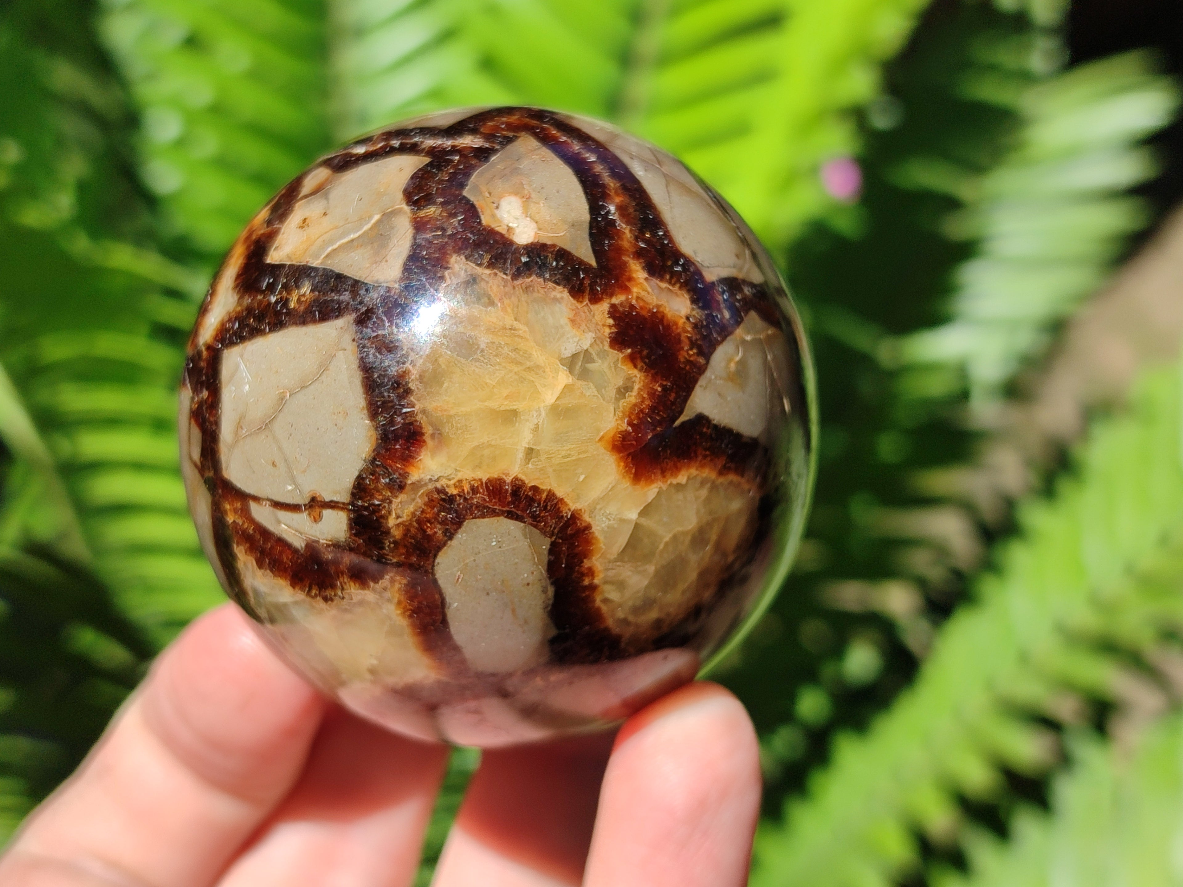 Polished Septerye Spheres x 4 From Mahajanga, Madagascar - Toprock Gemstones and Minerals 