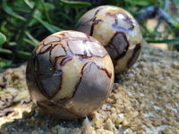 Polished Septerye Spheres x 4 From Mahajanga, Madagascar