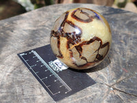 Polished Septerye Spheres x 4 From Mahajanga, Madagascar