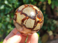 Polished Septerye Spheres x 4 From Mahajanga, Madagascar