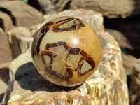 Polished Septerye Spheres x 4 From Mahajanga, Madagascar