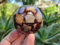 Polished Septerye Spheres x 4 From Mahajanga, Madagascar