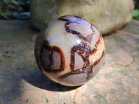 Polished Septerye Spheres x 4 From Mahajanga, Madagascar