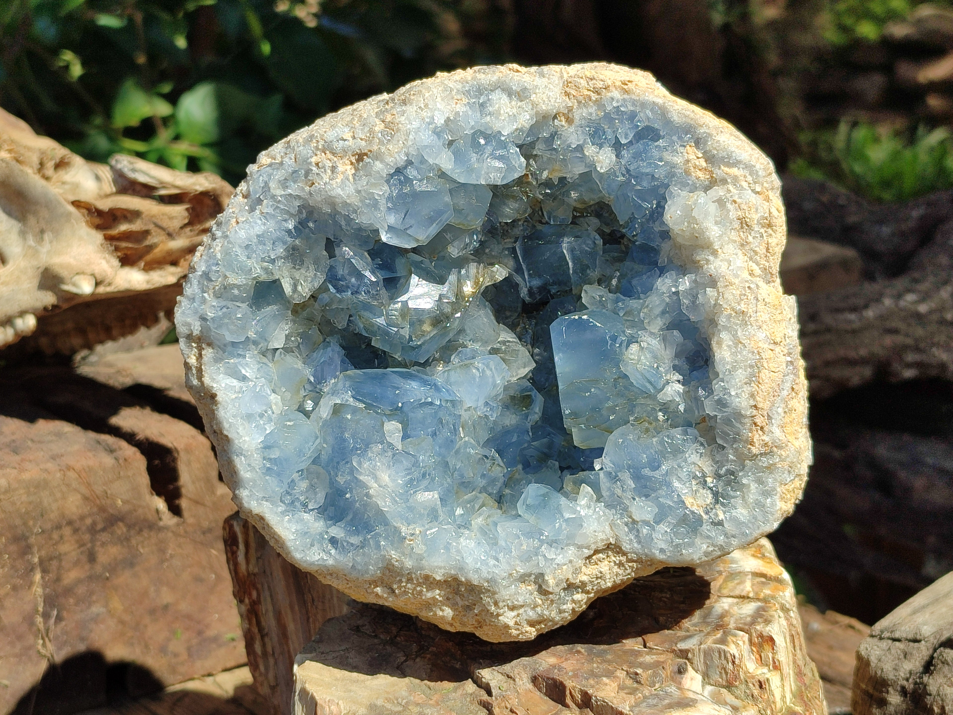 Natural Celestite Geode Specimens x 1 From Sakoany, Madagascar - Toprock Gemstones and Minerals 