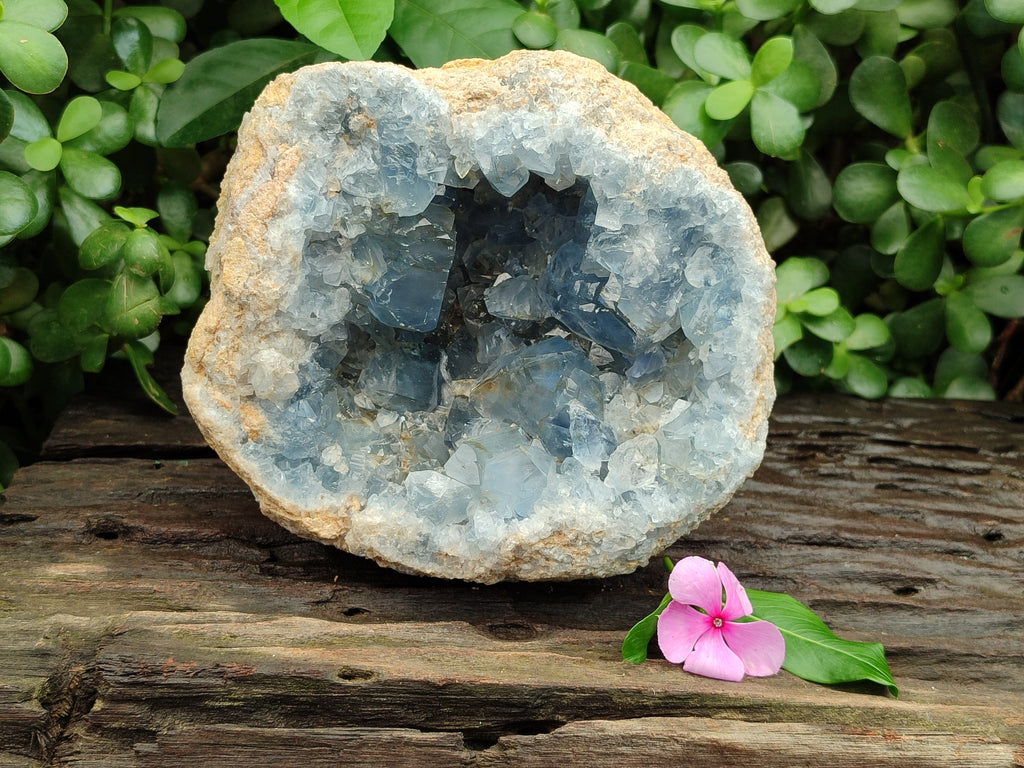 Natural Celestite Geode Specimens x 1 From Sakoany, Madagascar - Toprock Gemstones and Minerals 