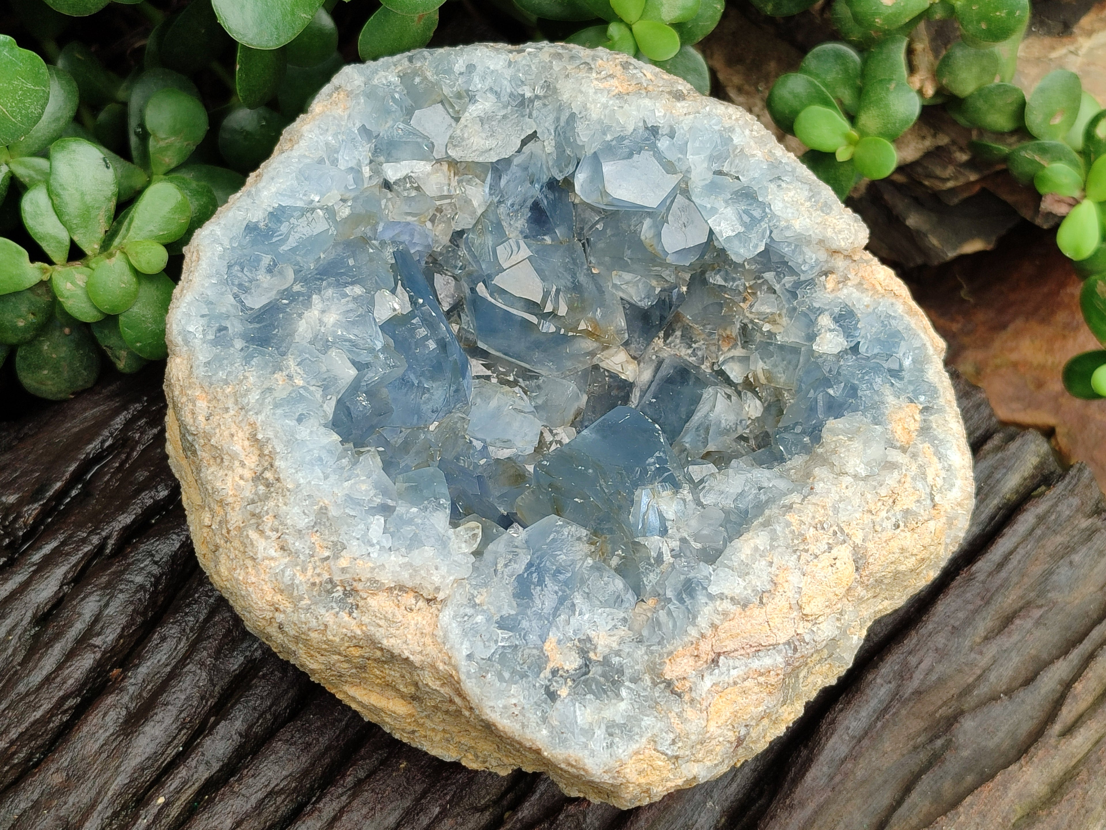 Natural Celestite Geode Specimens x 1 From Sakoany, Madagascar - Toprock Gemstones and Minerals 