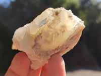 Natural Cobbed White Dendritic Opal Specimens x 24 From Madagascar