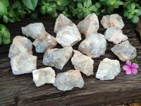 Natural Cobbed White Dendritic Opal Specimens x 24 From Madagascar