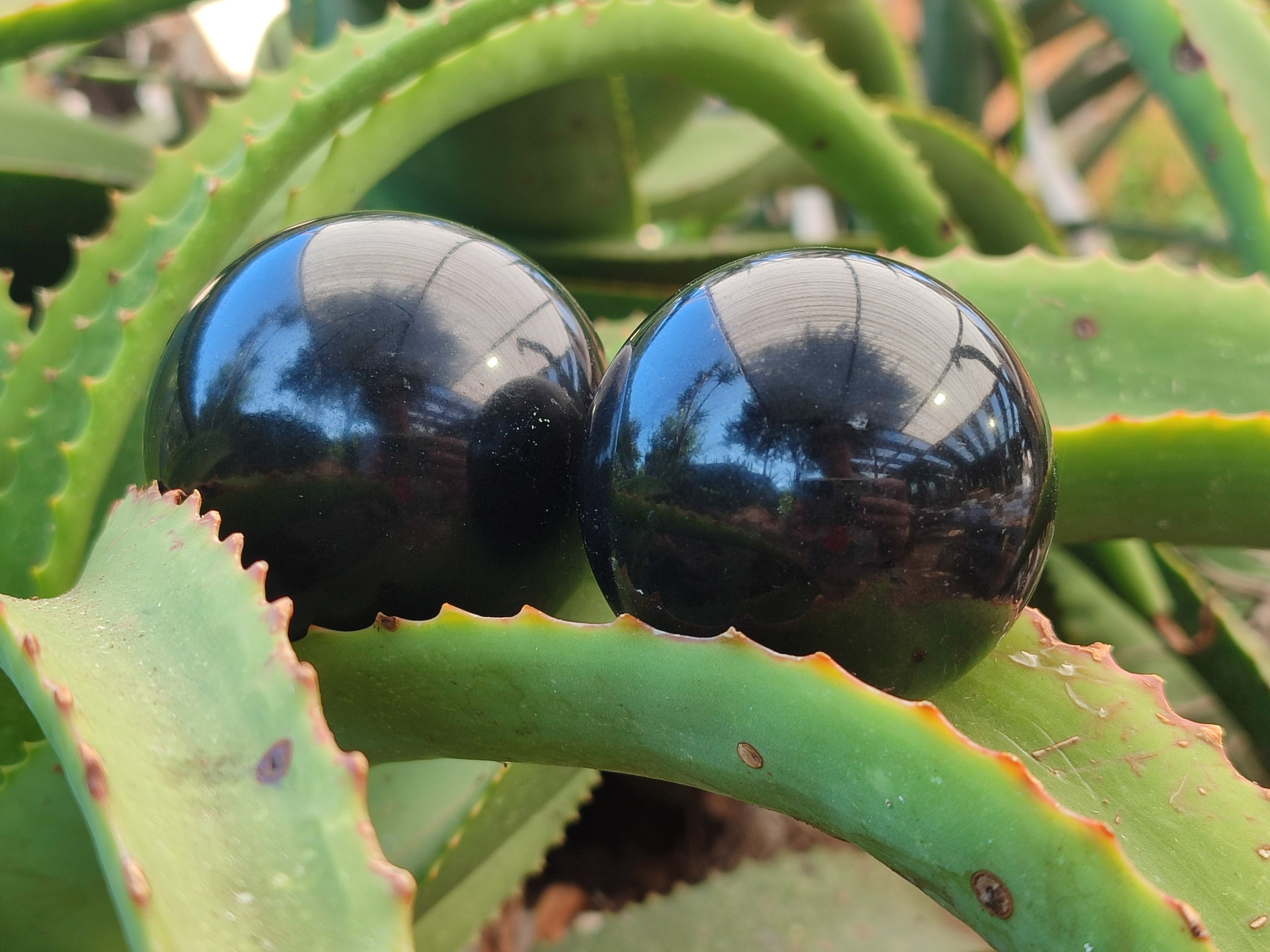 Polished Black Basalt Spheres x 5 From Antsirabe, Madagascar - Toprock Gemstones and Minerals 