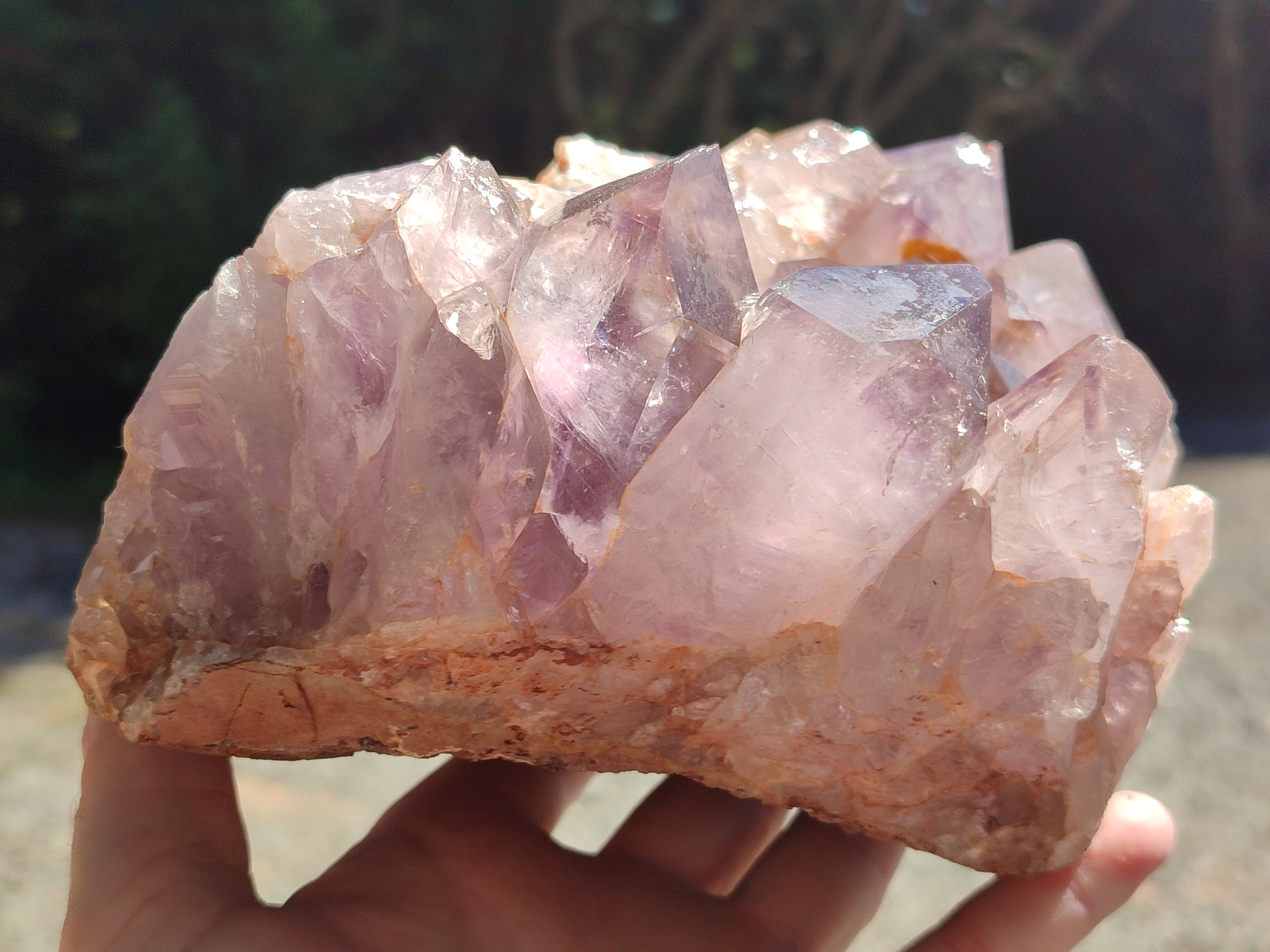 Natural Jacaranda Amethyst Quartz Cluster x 1 From Mumbwa, Zambia - Toprock Gemstones and Minerals 