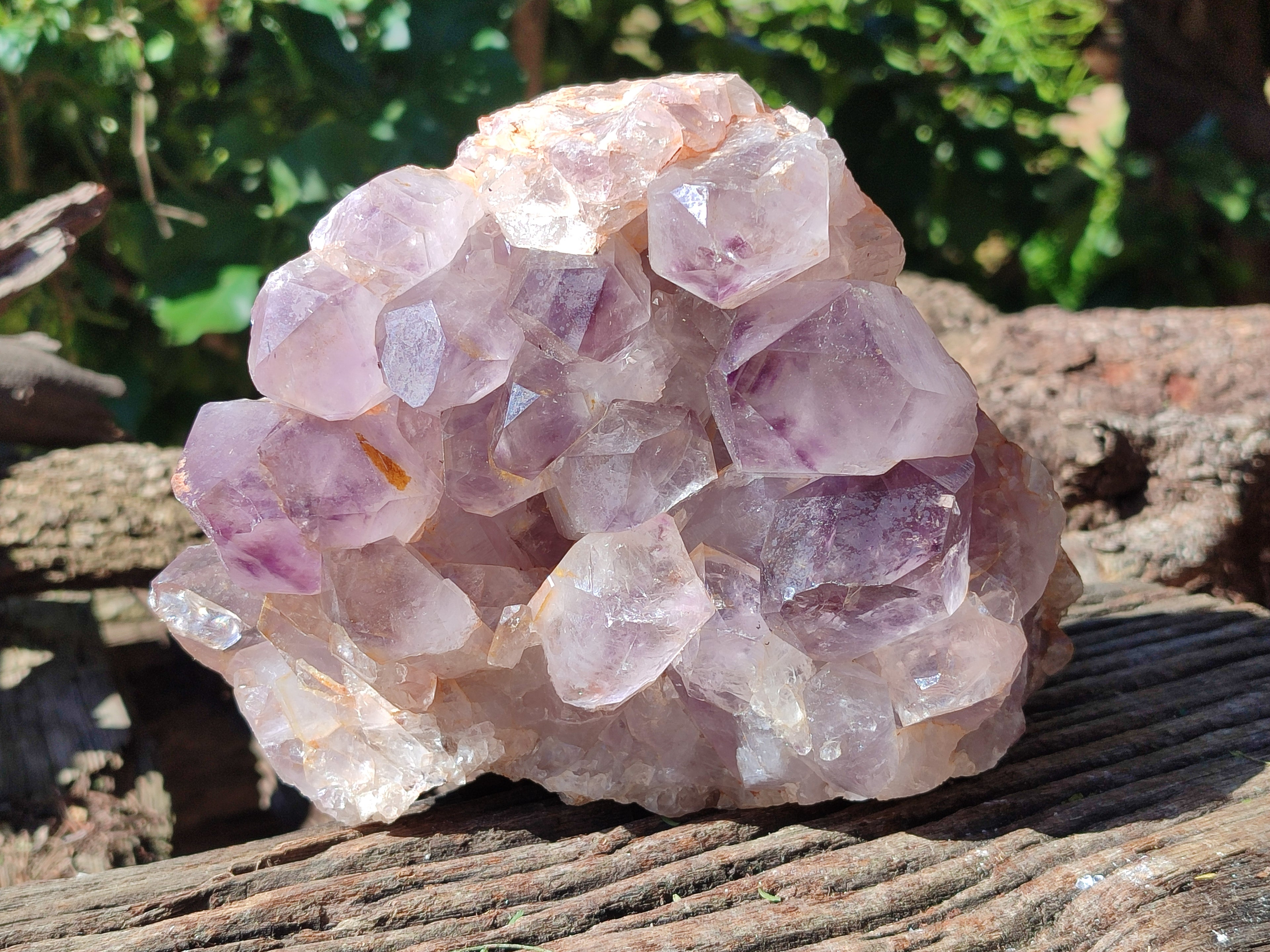 Natural Jacaranda Amethyst Quartz Cluster x 1 From Mumbwa, Zambia - Toprock Gemstones and Minerals 